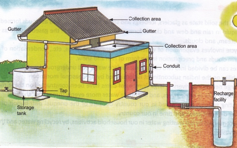 
		house with rainwater harvesting system