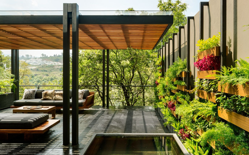 
	Vertical gardens outside home