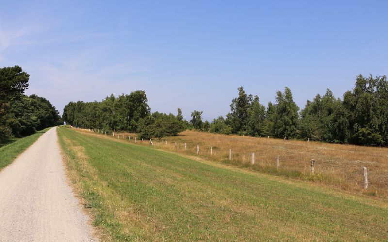 Floodplain region